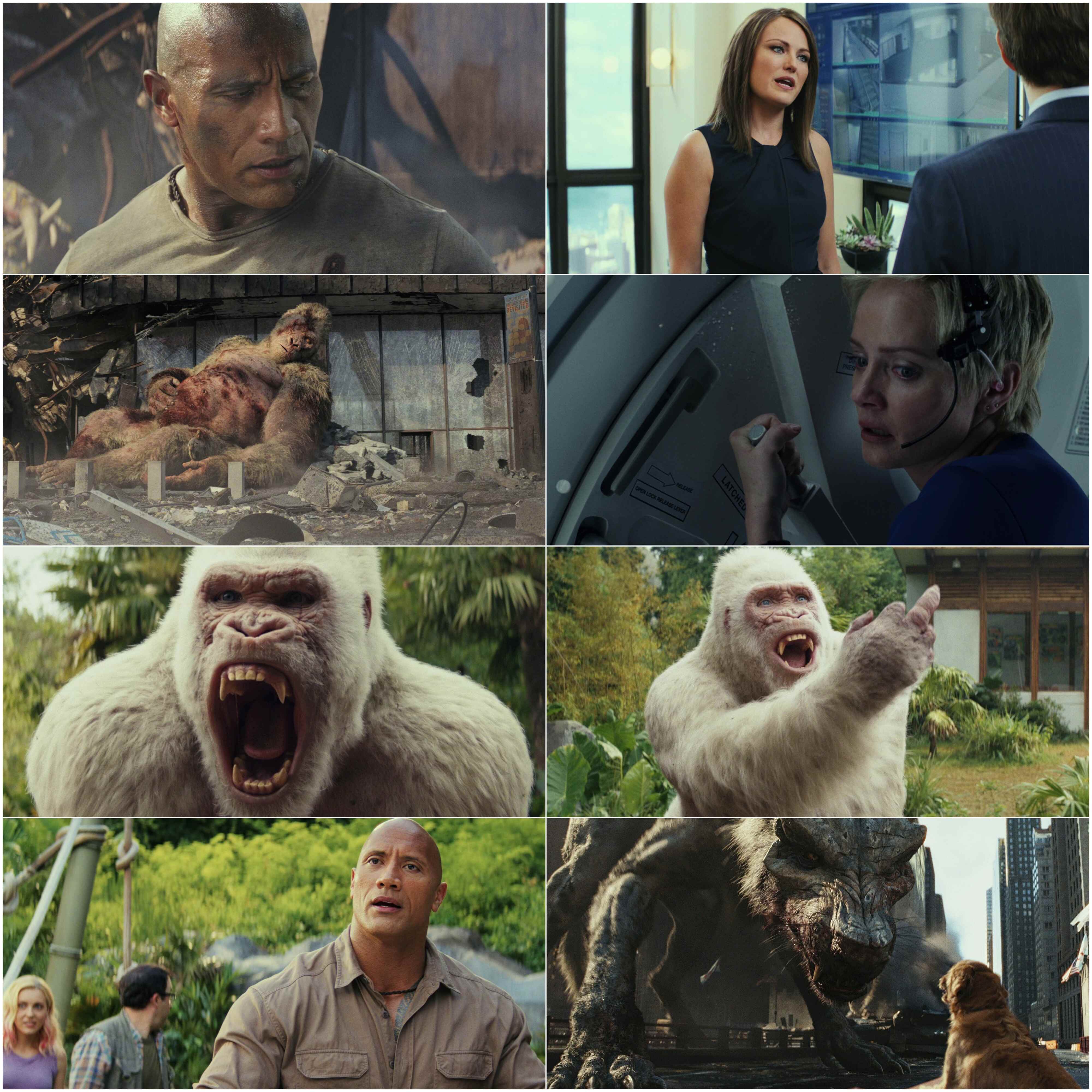 Rampage (2018) (Hindi + English) Dual Audio Hollywood Movie BluRay HD ESub screenshot