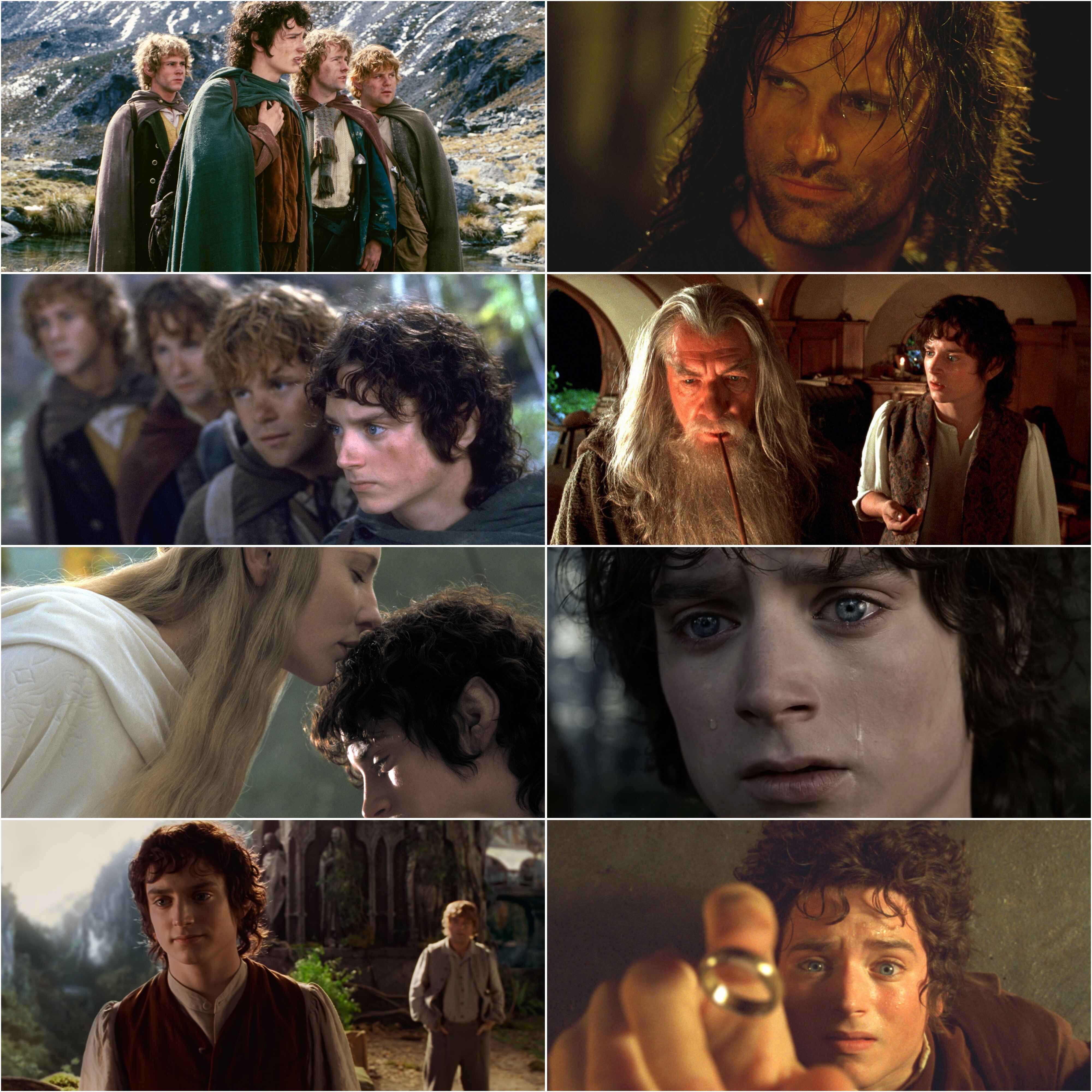 The Lord of the Rings   The Fellowship of the Ring (2001) (Hindi + English) Dual Audio Hollywood Movie BluRay HD ESub screenshot